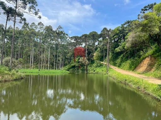 null: 8ª foto da galeria de imagens do imóvel