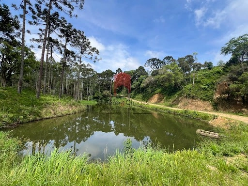 null: 4ª foto da galeria de imagens do imóvel