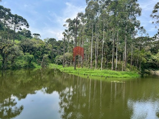 null: 11ª foto da galeria de imagens do imóvel