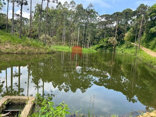 null: 16ª foto da galeria de imagens do imóvel