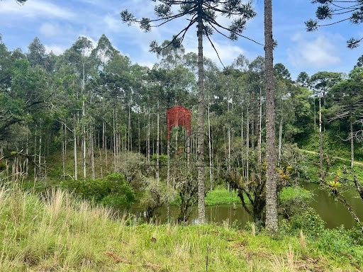 null: 10ª foto da galeria de imagens do imóvel