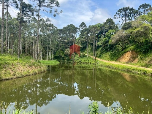 null: 17ª foto da galeria de imagens do imóvel