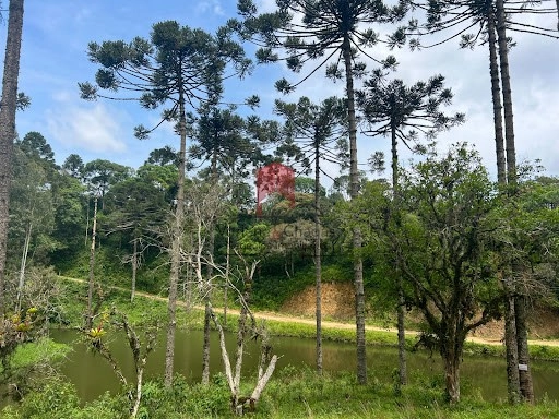 null: 12ª foto da galeria de imagens do imóvel