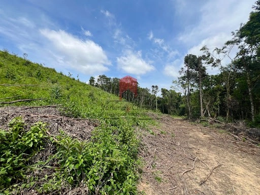 null: 19ª foto da galeria de imagens do imóvel