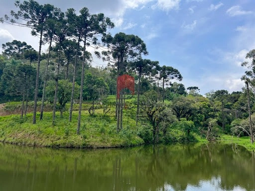 null: 13ª foto da galeria de imagens do imóvel