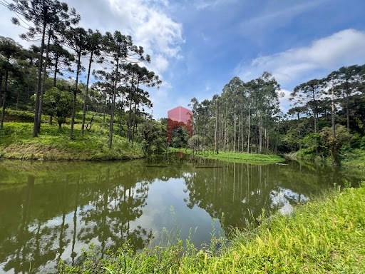 null: 20ª foto da galeria de imagens do imóvel