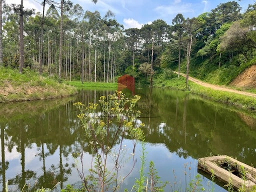 null: 7ª foto da galeria de imagens do imóvel