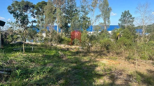 null: 5ª foto da galeria de imagens do imóvel