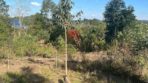 null: 1ª foto da galeria de imagens do imóvel