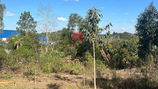 null: 3ª foto da galeria de imagens do imóvel