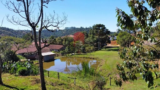 null: 4ª foto da galeria de imagens do imóvel