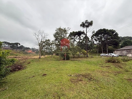 null: 13ª foto da galeria de imagens do imóvel