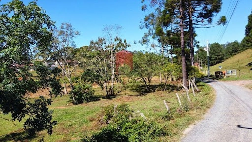 null: 7ª foto da galeria de imagens do imóvel