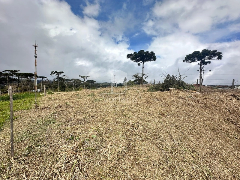 null: 3ª foto da galeria de imagens do imóvel