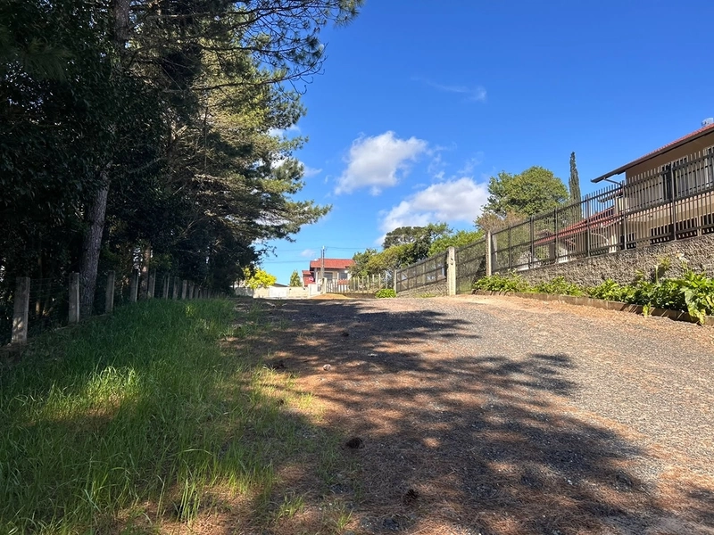 🏠 ALUGA GALPÃO NO BAIRRO DONA FRANCISCA- Vorlene Negócios Imobiliários : 19ª foto da galeria de imagens do imóvel