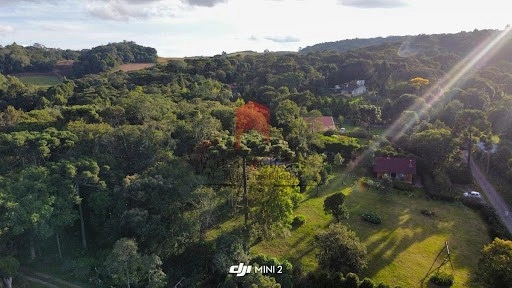 null: 21ª foto da galeria de imagens do imóvel