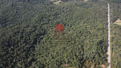 null: 13ª foto da galeria de imagens do imóvel