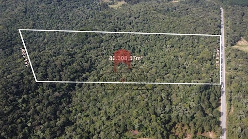 null: 12ª foto da galeria de imagens do imóvel