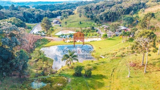 null: 11ª foto da galeria de imagens do imóvel