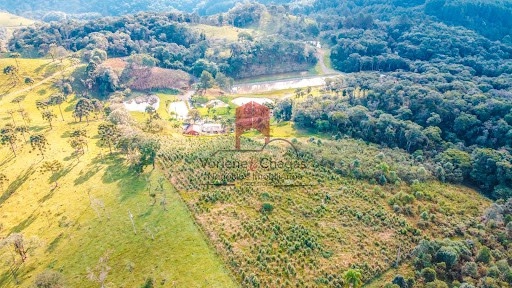 null: 6ª foto da galeria de imagens do imóvel