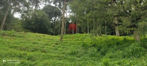 null: 11ª foto da galeria de imagens do imóvel