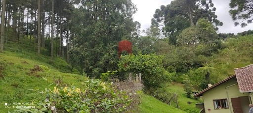 null: 8ª foto da galeria de imagens do imóvel