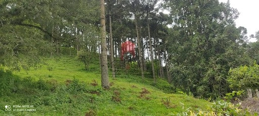 null: 4ª foto da galeria de imagens do imóvel