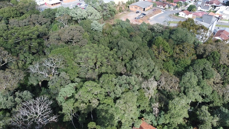 null: 5ª foto da galeria de imagens do imóvel