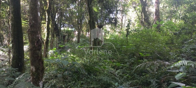 null: 1ª foto da galeria de imagens do imóvel