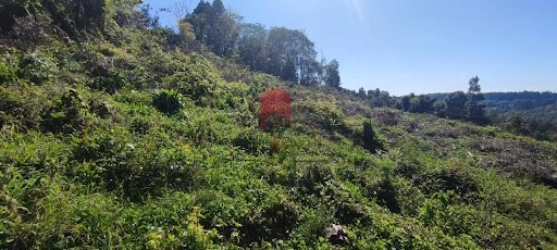 null: 7ª foto da galeria de imagens do imóvel