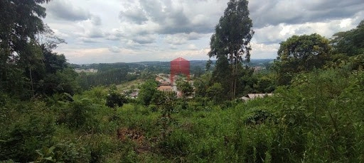 null: 11ª foto da galeria de imagens do imóvel