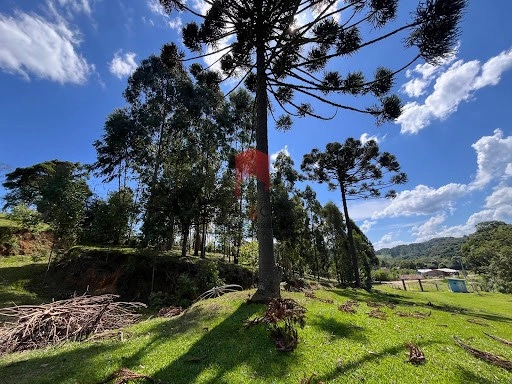 null: 3ª foto da galeria de imagens do imóvel