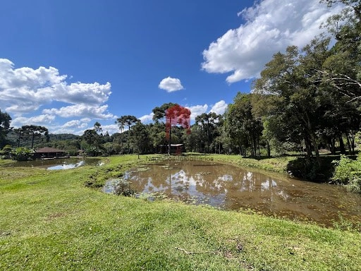 null: 5ª foto da galeria de imagens do imóvel