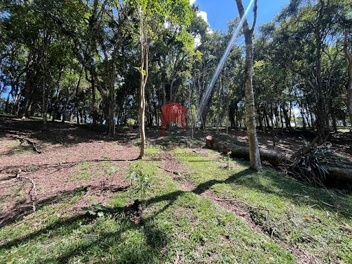 null: 6ª foto da galeria de imagens do imóvel