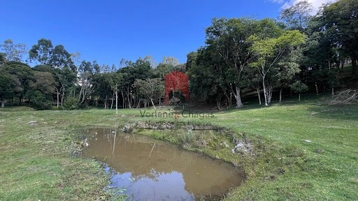 null: 11ª foto da galeria de imagens do imóvel