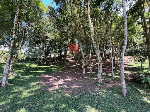 null: 2ª foto da galeria de imagens do imóvel