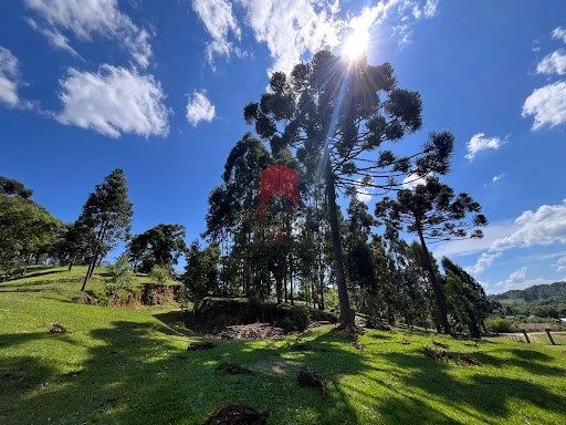 null: 9ª foto da galeria de imagens do imóvel