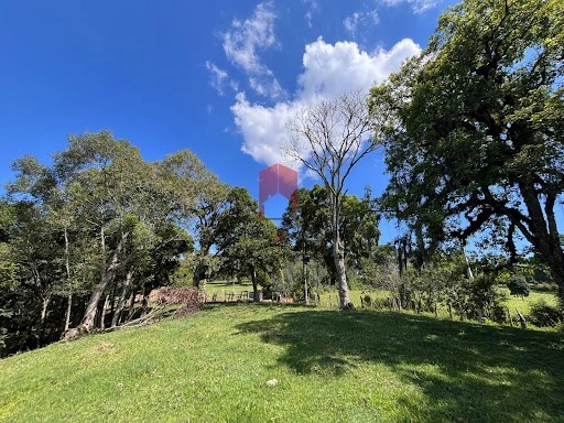 null: 7ª foto da galeria de imagens do imóvel