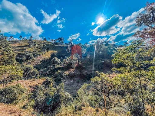 null: 9ª foto da galeria de imagens do imóvel