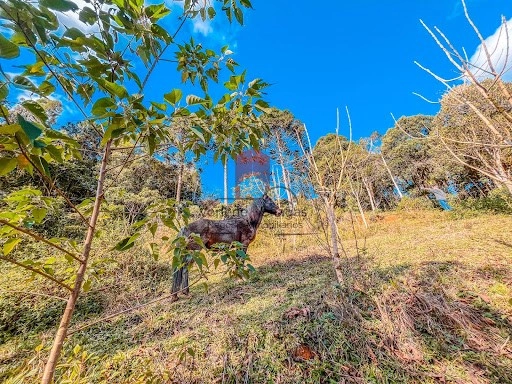 null: 3ª foto da galeria de imagens do imóvel