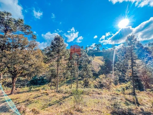 null: 2ª foto da galeria de imagens do imóvel