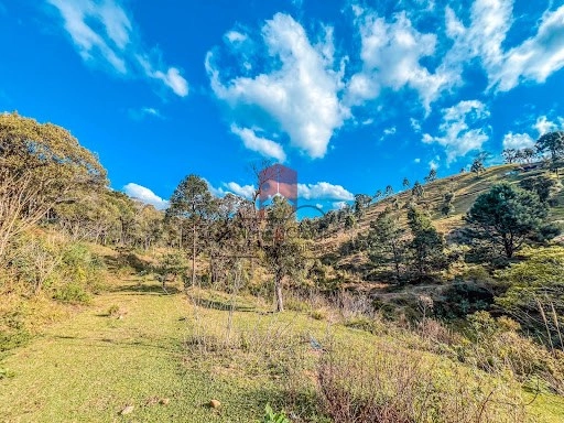 null: 4ª foto da galeria de imagens do imóvel