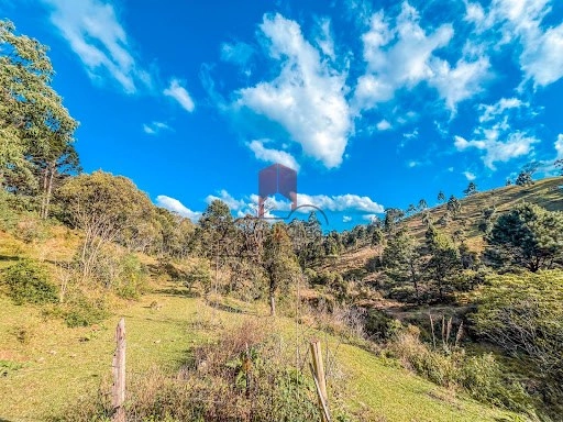 null: 5ª foto da galeria de imagens do imóvel