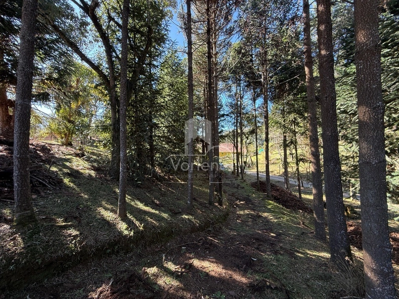 null: 5ª foto da galeria de imagens do imóvel