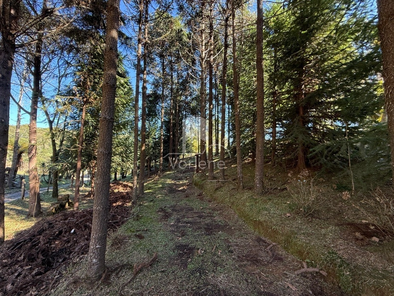 null: 6ª foto da galeria de imagens do imóvel