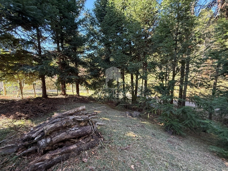 null: 4ª foto da galeria de imagens do imóvel