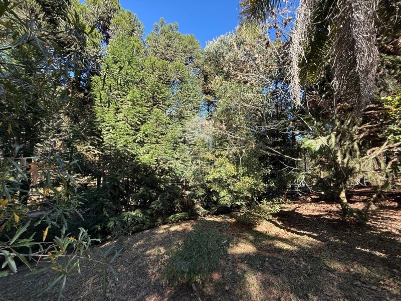 null: 3ª foto da galeria de imagens do imóvel