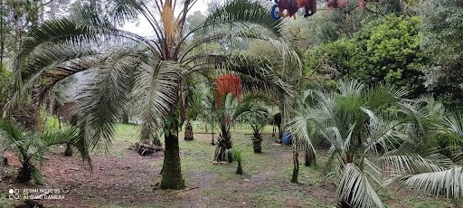 null: 18ª foto da galeria de imagens do imóvel