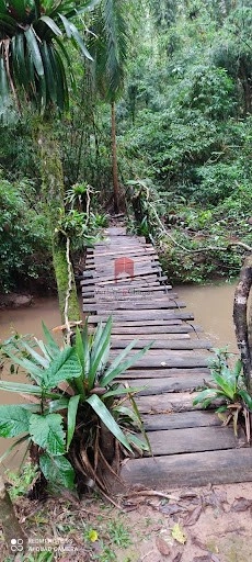 null: 17ª foto da galeria de imagens do imóvel