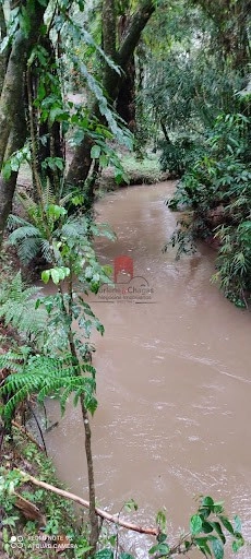 null: 4ª foto da galeria de imagens do imóvel